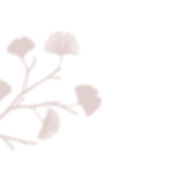 floating_image_01 https://kartikeykishadi.theweddingpoetries.com/wp-content/uploads/2020/12/floating_image_01.png