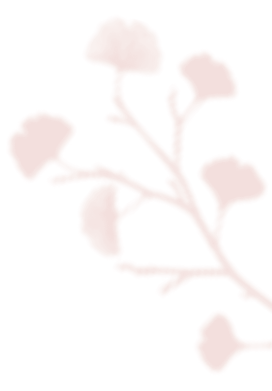 shadow_leaves_07 https://kartikeykishadi.theweddingpoetries.com/wp-content/uploads/2020/12/shadow_leaves_07.png